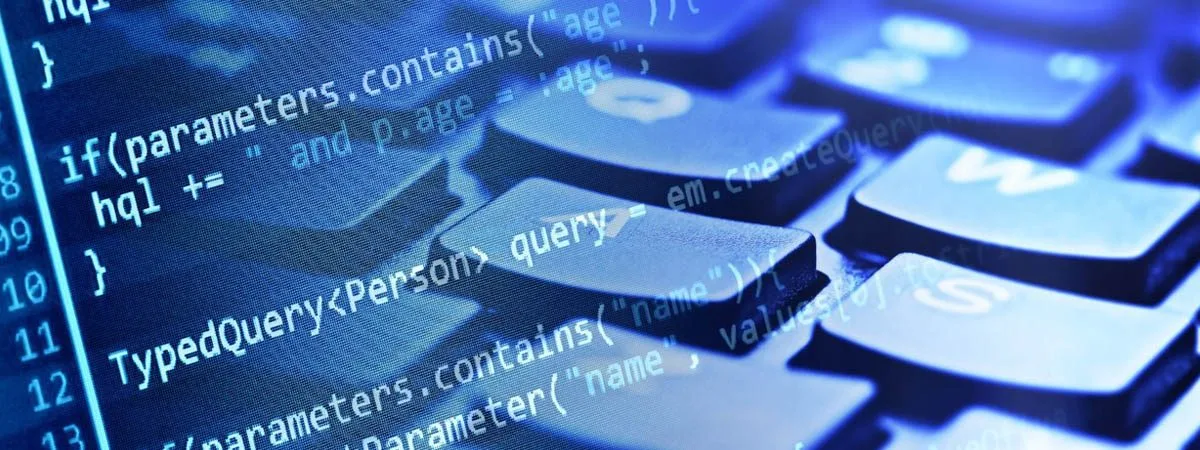 The Threat of Software Vulnerabilities