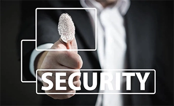 Protecting Sensitive data from Vulnerable Application User Interface